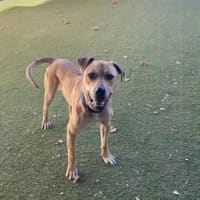 Photo of Mike Wheeler