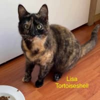 Photo of Ashlie & Lisa