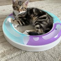 Photo of Tyrone & Miranda