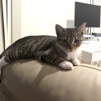 Photo of Andi