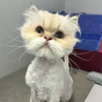Photo of Cloud