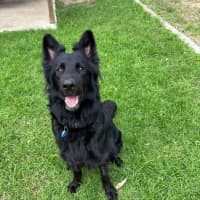 Photo of Roxy