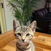 Photo of Hazel