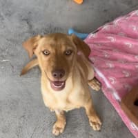 Photo of Holly