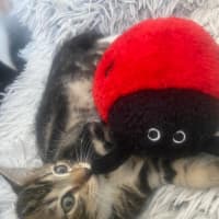 Photo of Tig Sanderson