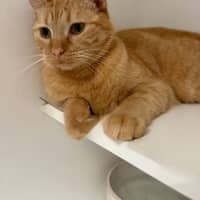 Photo of Marcy