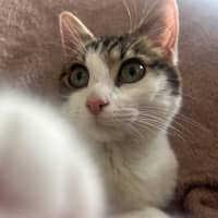 Photo of Smidge
