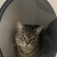 Photo of Lucy