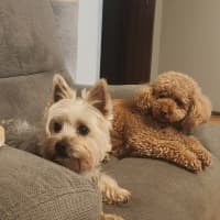 Photo of Coco