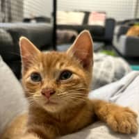 Photo of Tom   Meet Me 10/10 Info In Bio