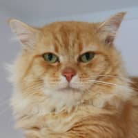 Photo of Sol Sta014474