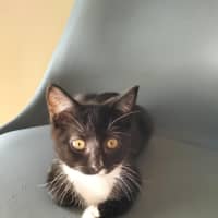 Photo of 🌸 Delta 🌸