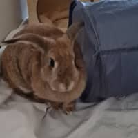 Photo of Yoghurt And Yum Cha