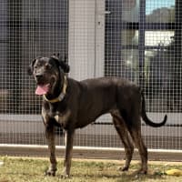 Photo of Kaizer