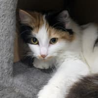 Photo of 🎀Brigita 6395 🎀