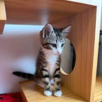 Photo of 🩷Juliet 🩷