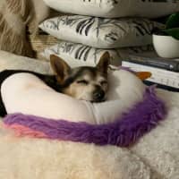 Photo of Miguel Kumara