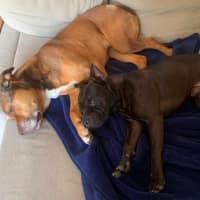 Photo of Wrinkle