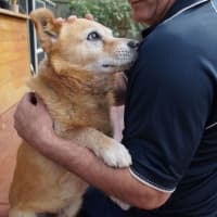 Photo of Max