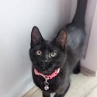 Photo of Sprout