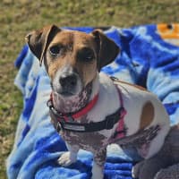 Photo of Bubba