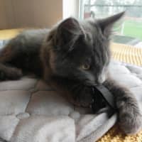 Photo of Denim