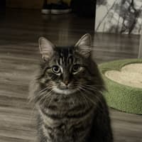 Photo of Herb