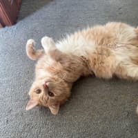 Photo of Ricardo Silvanus