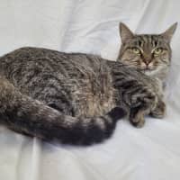 Photo of Gaia