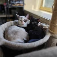 Photo of Dairy Queen