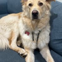 Photo of Jetflash
