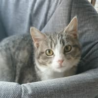 Photo of Teddy Bear 🧸