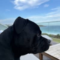 Photo of Reggie