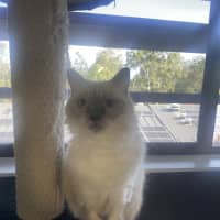 Photo of Nami