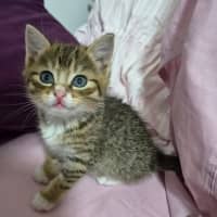 Photo of Triggy