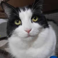 Photo of Richie Rich