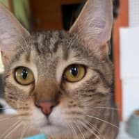 Photo of Flynn