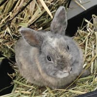 Photo of Tweet