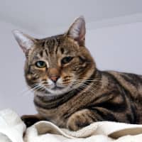 Photo of George Sua014378