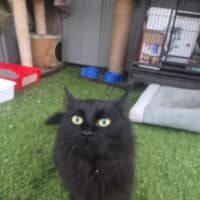 Photo of Wednesday