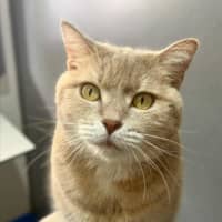 Photo of Tammy