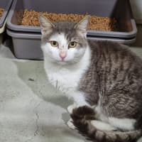Photo of Clive