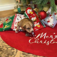 Photo of Porche