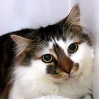 Photo of Charlie Sta012773