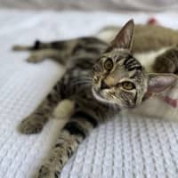 Photo of Liza   Located In Armadale