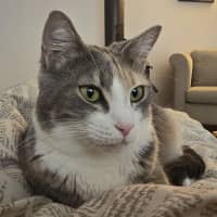 Photo of Coraline