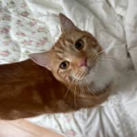 Photo of Grandpa George And Grandpa Joe