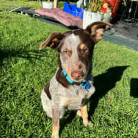 Photo of Cash