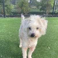 Photo of Sophie Imp 1538