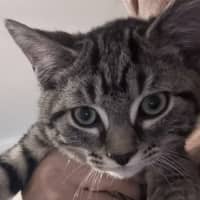 Photo of Zeus